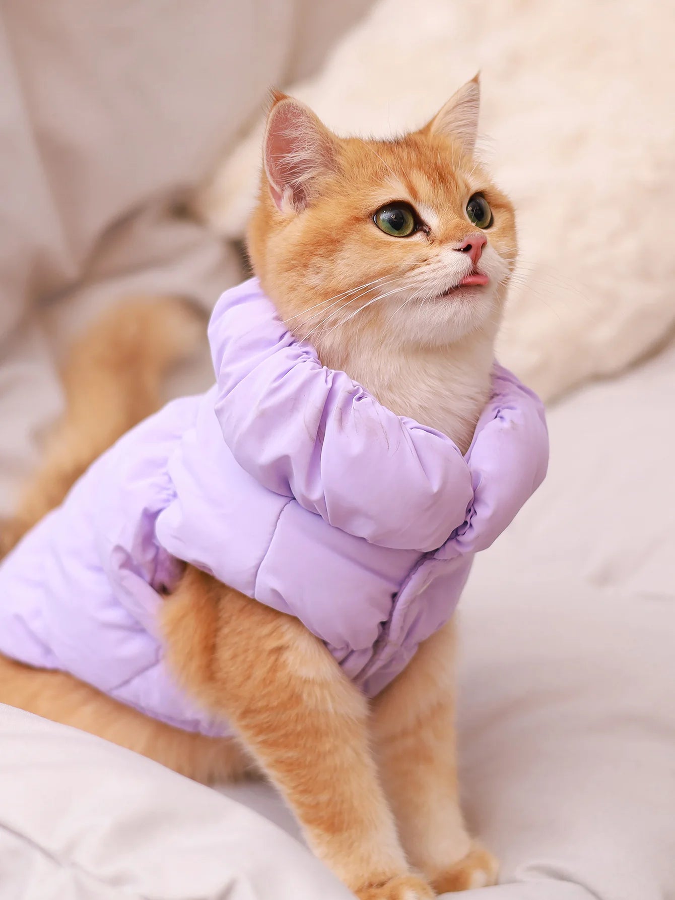 Insulated Thermal Pet Puffer Vest