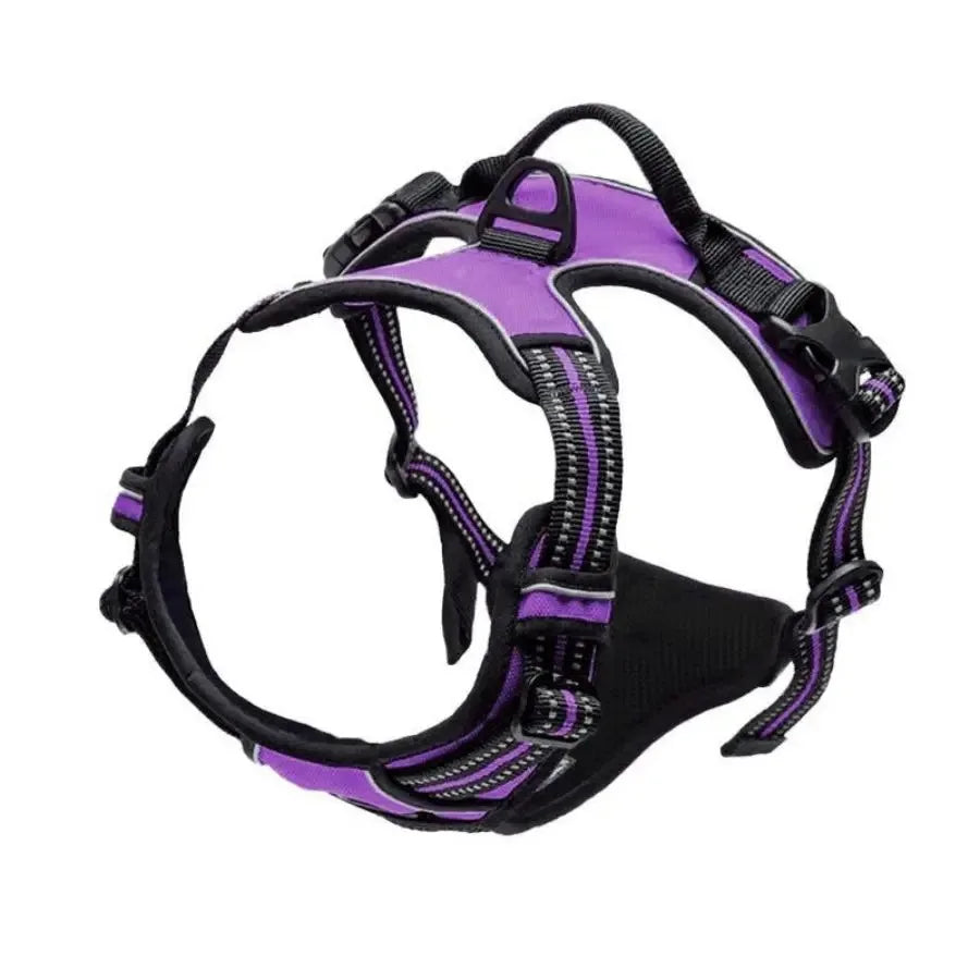 No-Pull Adjustable Dog Harness Set; Breathable Mesh Vest with Matching Leash