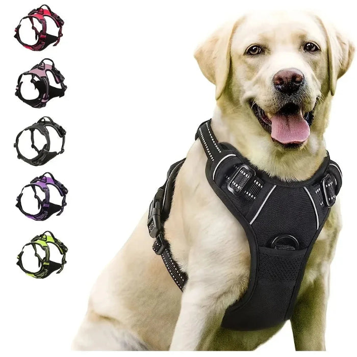 No-Pull Adjustable Dog Harness Set; Breathable Mesh Vest with Matching Leash