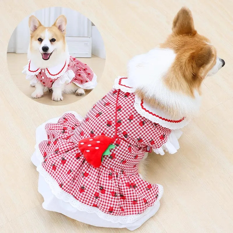 Strawberry Plaid Ruffle Pet Dress