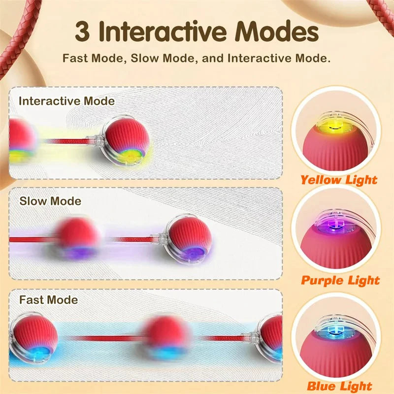 Smart Automatic Rolling Ball Cat Toy; USB Rechargeable Self-Moving Interactive Toy