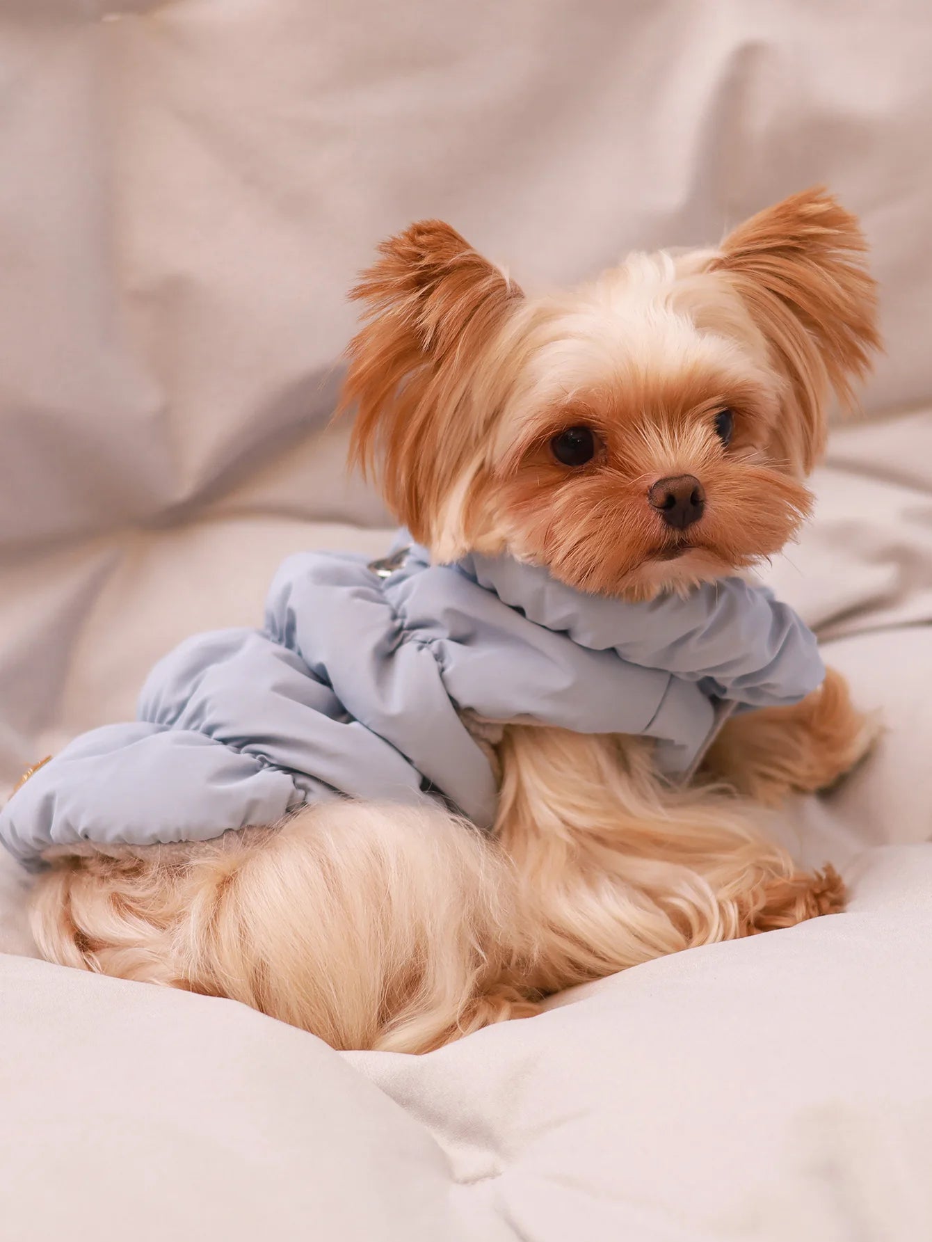 Insulated Thermal Pet Puffer Vest