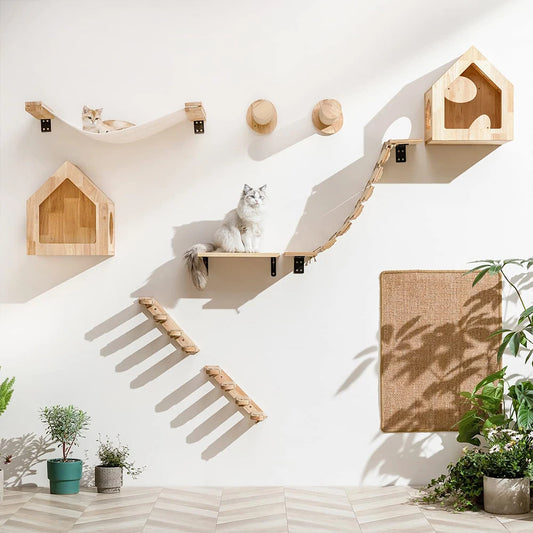 Wall Mounted Cat Climbing Shelves; Wooden Floating Perch Set for Indoor Cats