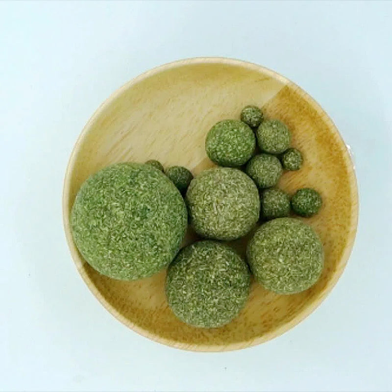 Edible Catnip Balls for Indoor Cats; Lickable Natural Cat Wall Treats