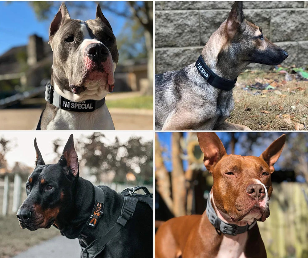 Military Tactical Dog Collar; Heavy Duty Nylon Training Collar with Control Handle