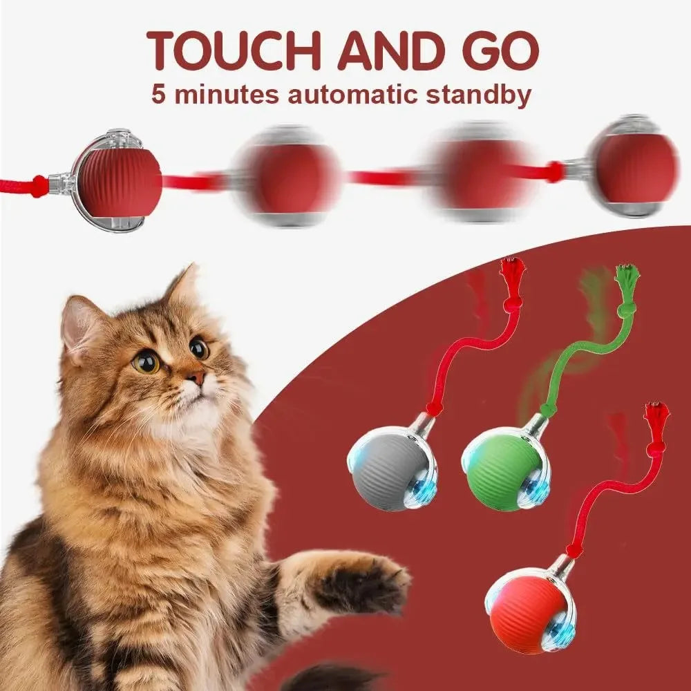 Smart Automatic Rolling Ball Cat Toy; USB Rechargeable Self-Moving Interactive Toy