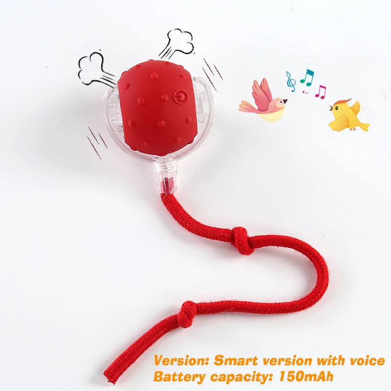 Smart Automatic Rolling Ball Cat Toy; USB Rechargeable Self-Moving Interactive Toy