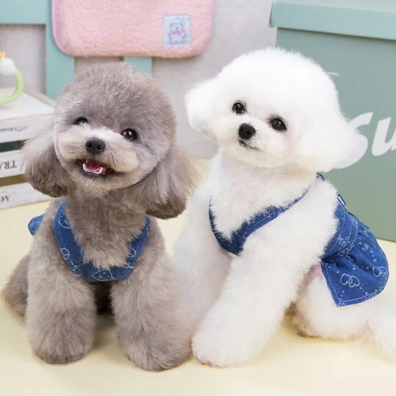 Pattern Denim Pet Dress & Vest Combo