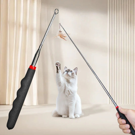 Retractable Cat Wand Toy; Interactive Teaser Extension Stick with Refills
