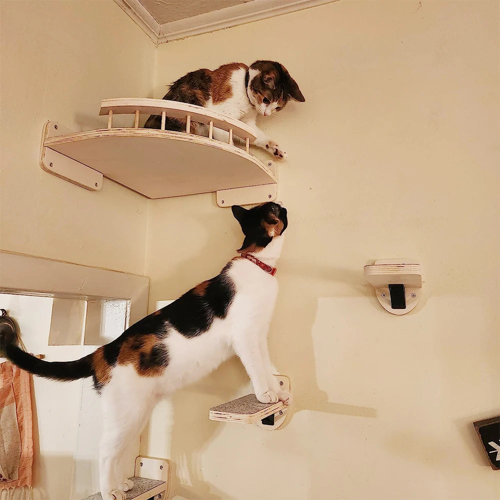 Wall Mounted Cat Climbing Shelves; Wooden Floating Perch Set for Indoor Cats