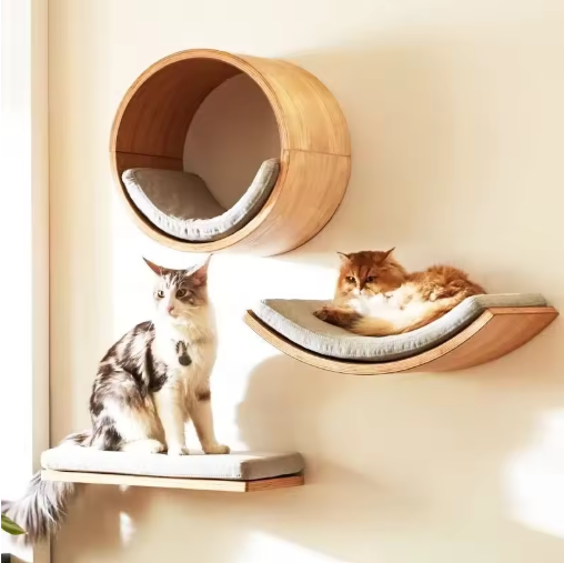 Wall Mounted Cat Climbing Shelves; Wooden Floating Perch Set for Indoor Cats