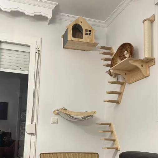 Wall Mounted Cat Climbing Shelves; Wooden Floating Perch Set for Indoor Cats