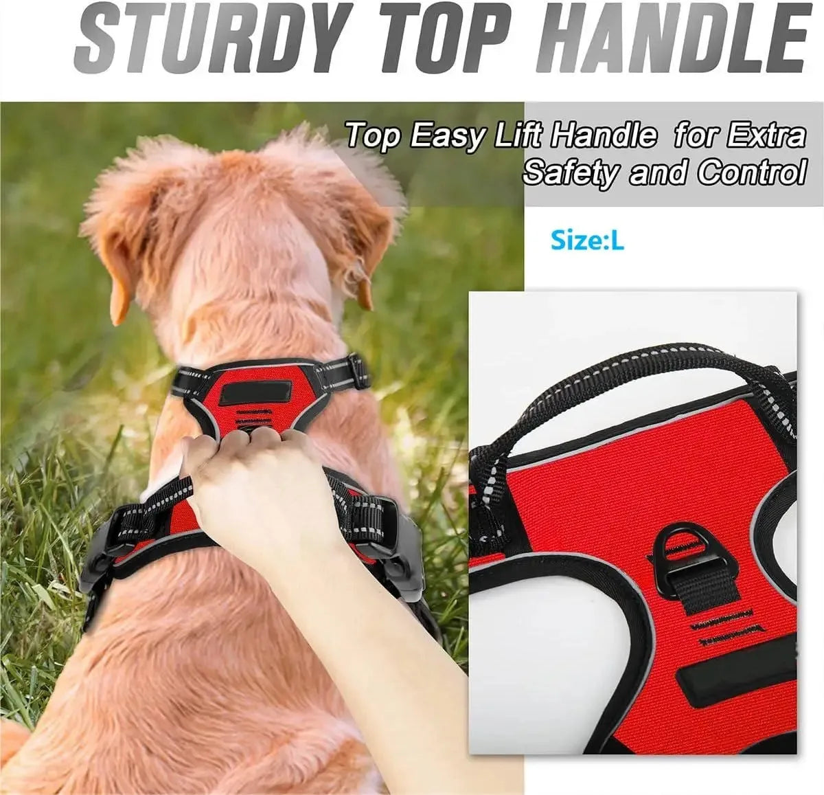 No-Pull Adjustable Dog Harness Set; Breathable Mesh Vest with Matching Leash
